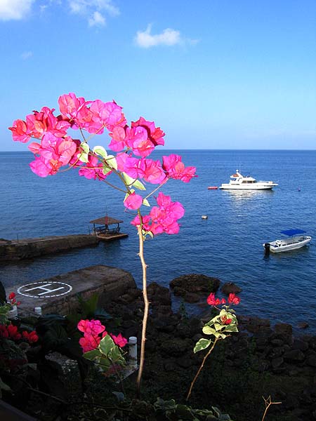阿尼洛