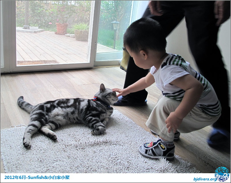 Sunfish&С׼С