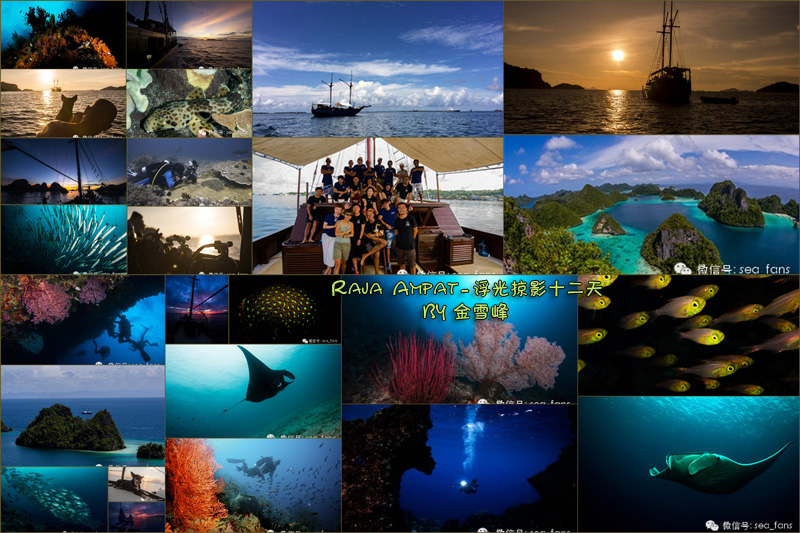 Raja Ampat - Ӱʮ