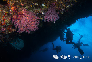 Raja Ampat - Ӱʮ